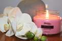 Silhouette Candles